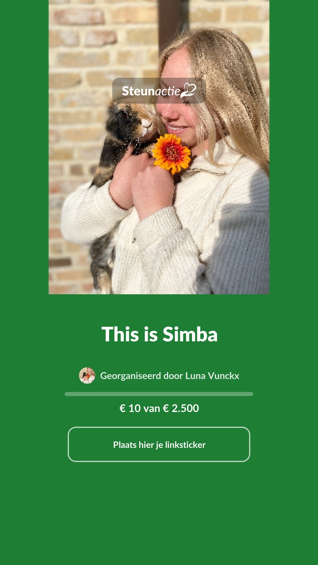 Voorbeeld van de afbeelding