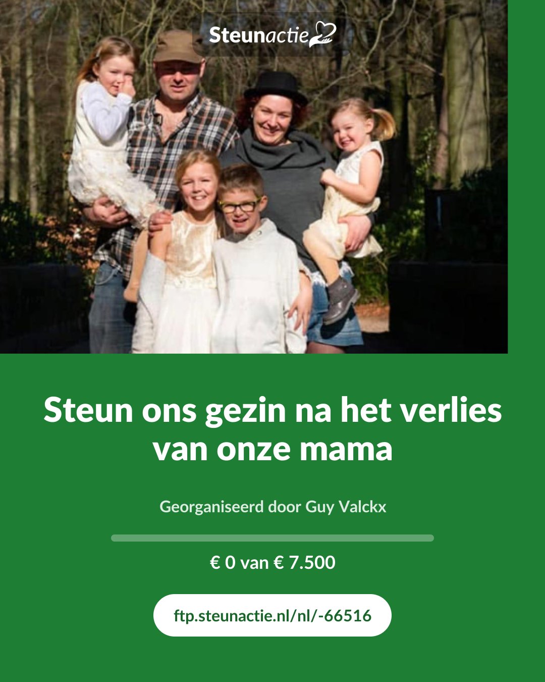 Voorbeeld van de afbeelding
