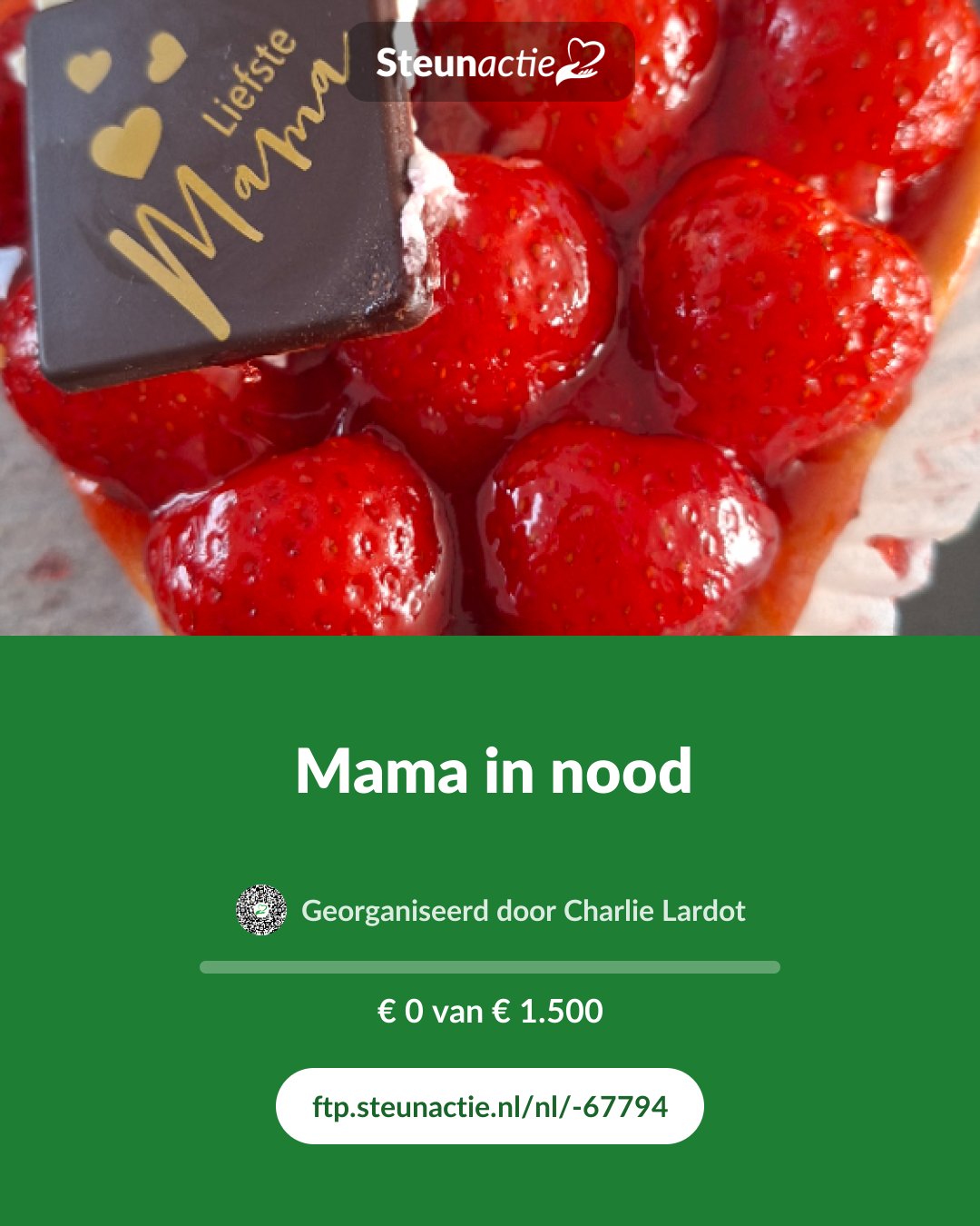 Voorbeeld van de afbeelding