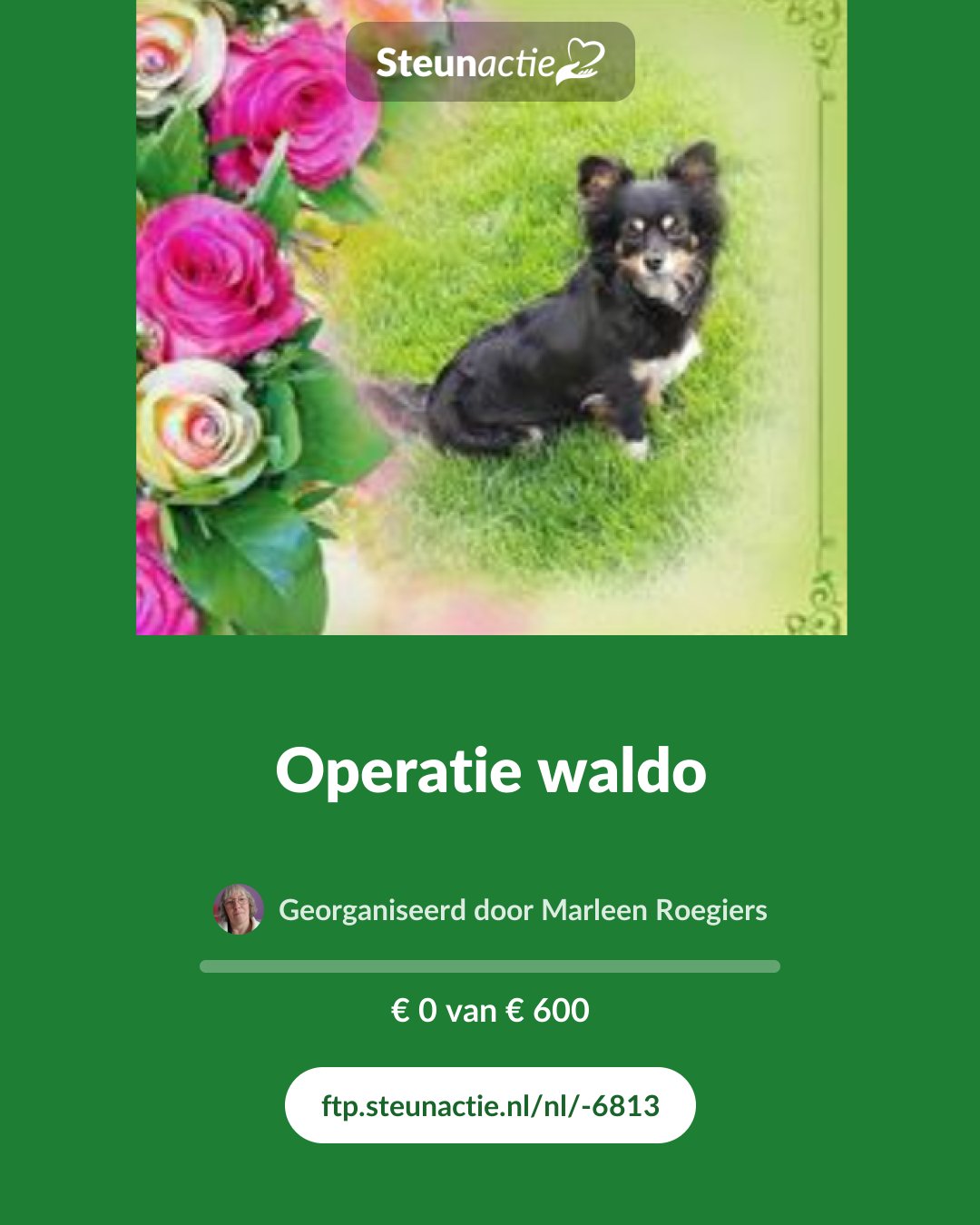 Voorbeeld van de afbeelding