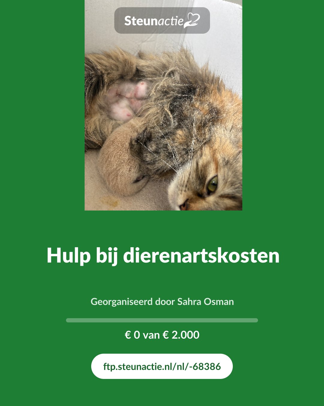 Voorbeeld van de afbeelding