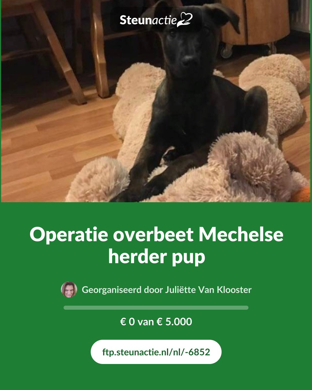Voorbeeld van de afbeelding