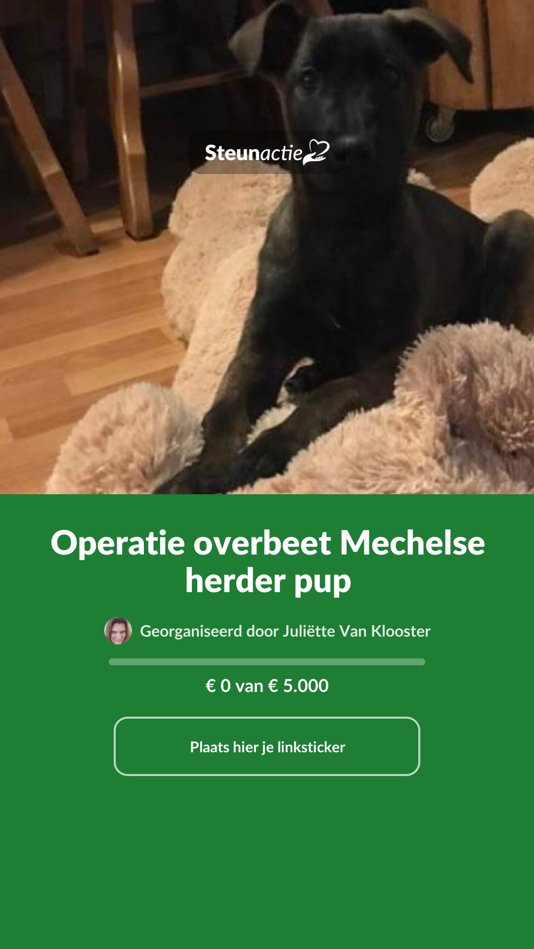 Voorbeeld van de afbeelding