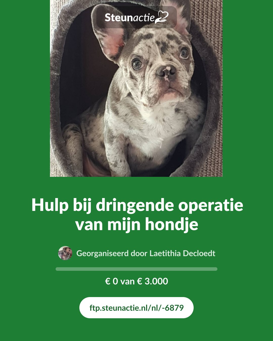 Voorbeeld van de afbeelding