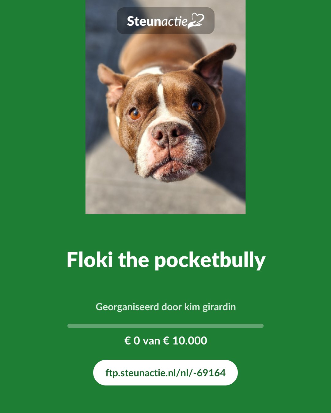 Voorbeeld van de afbeelding