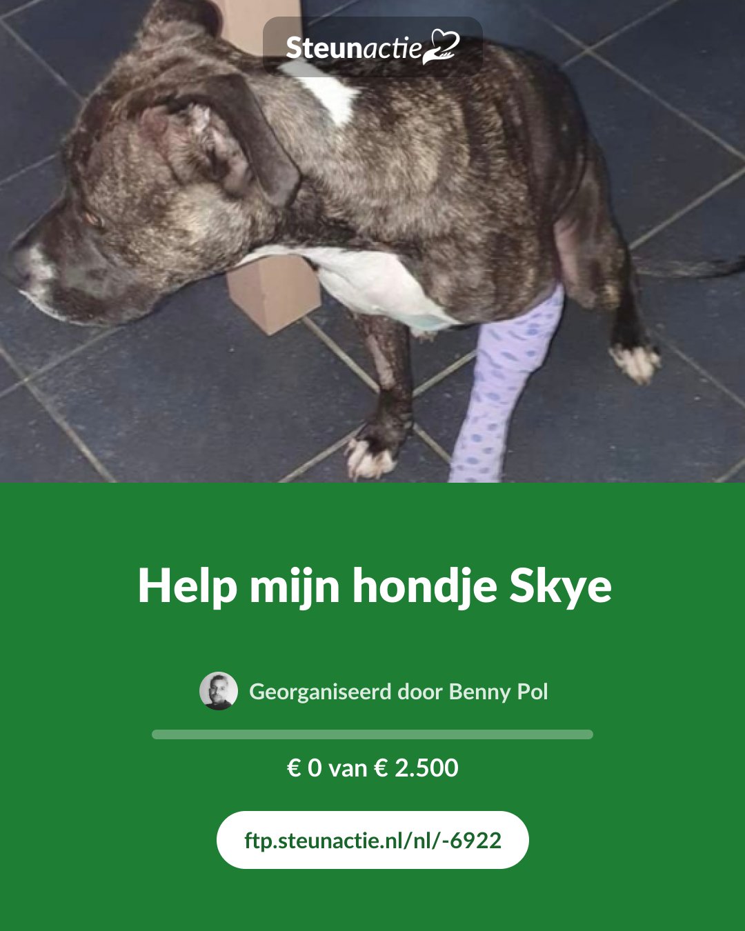 Voorbeeld van de afbeelding
