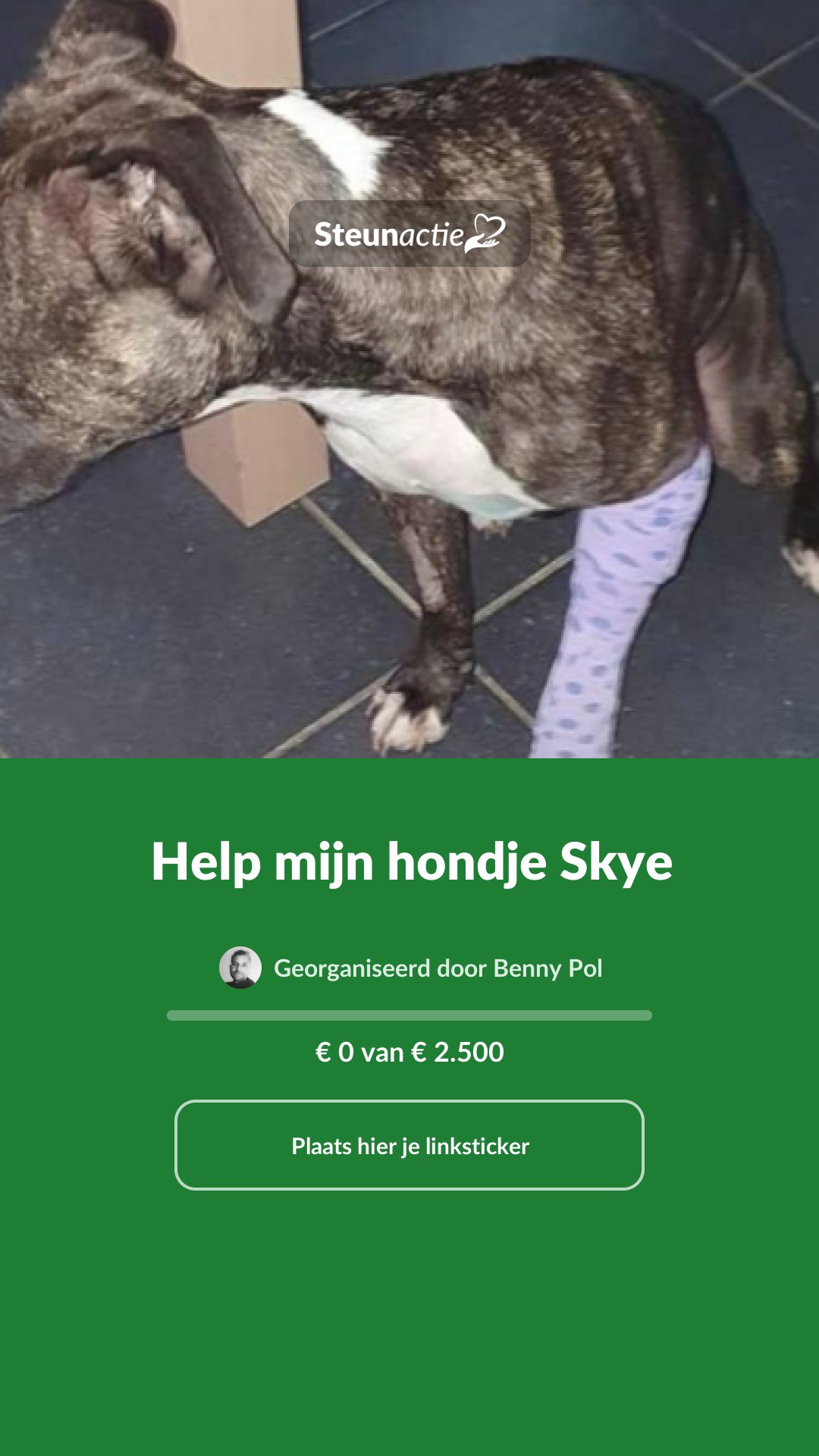 Voorbeeld van de afbeelding