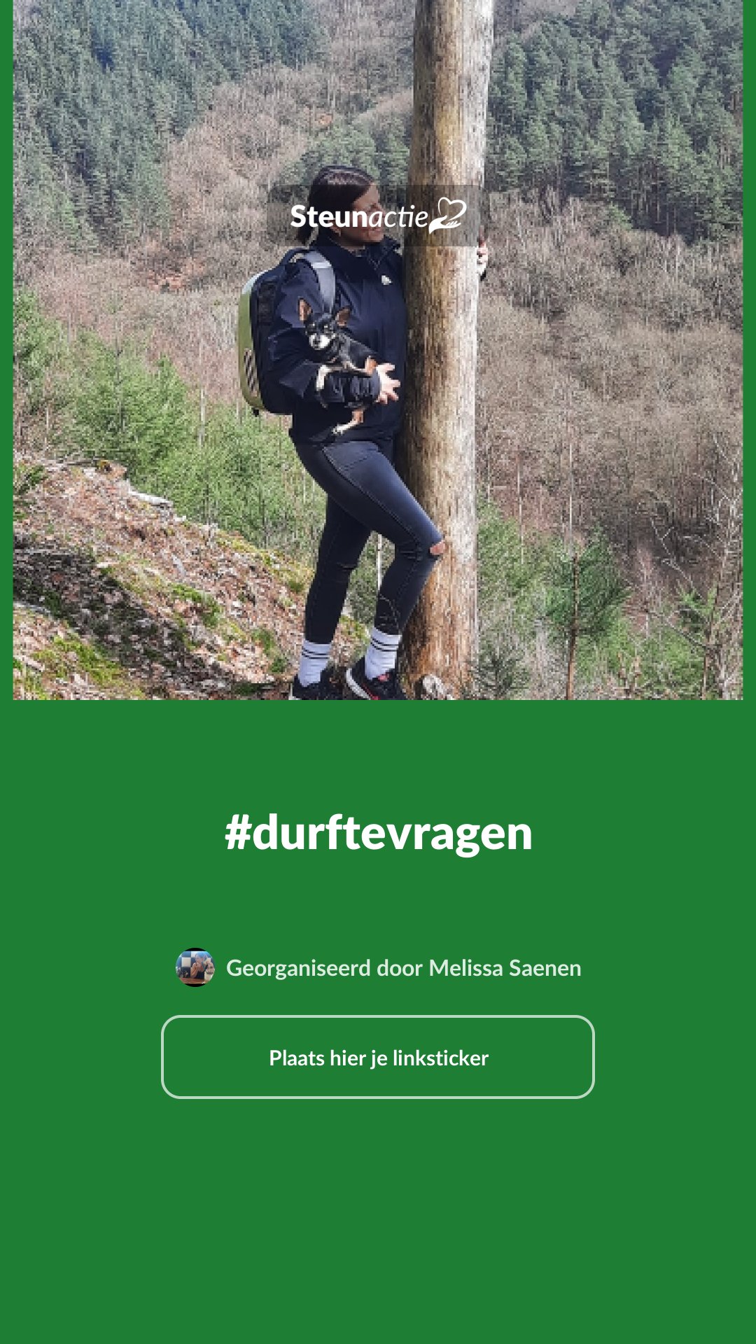 Voorbeeld van de afbeelding