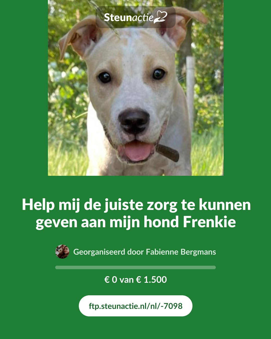 Voorbeeld van de afbeelding