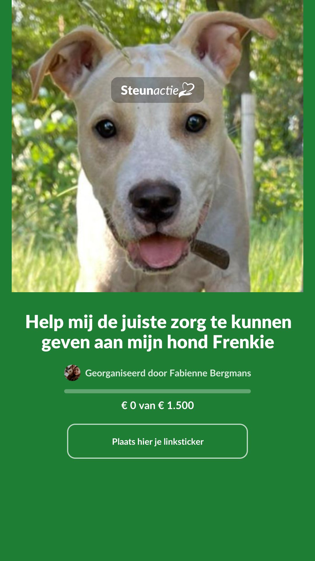 Voorbeeld van de afbeelding