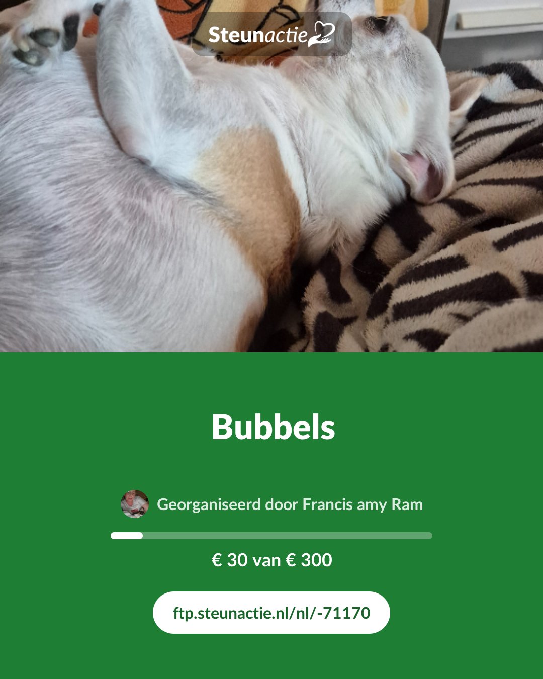 Voorbeeld van de afbeelding