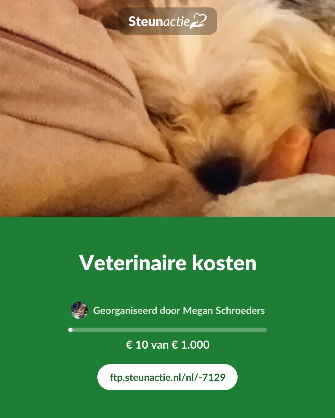 Voorbeeld van de afbeelding