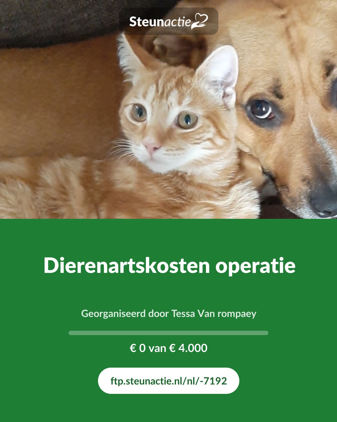 Voorbeeld van de afbeelding