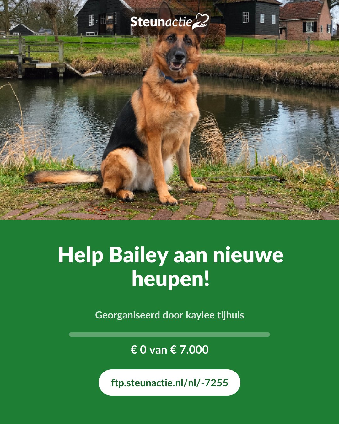 Voorbeeld van de afbeelding