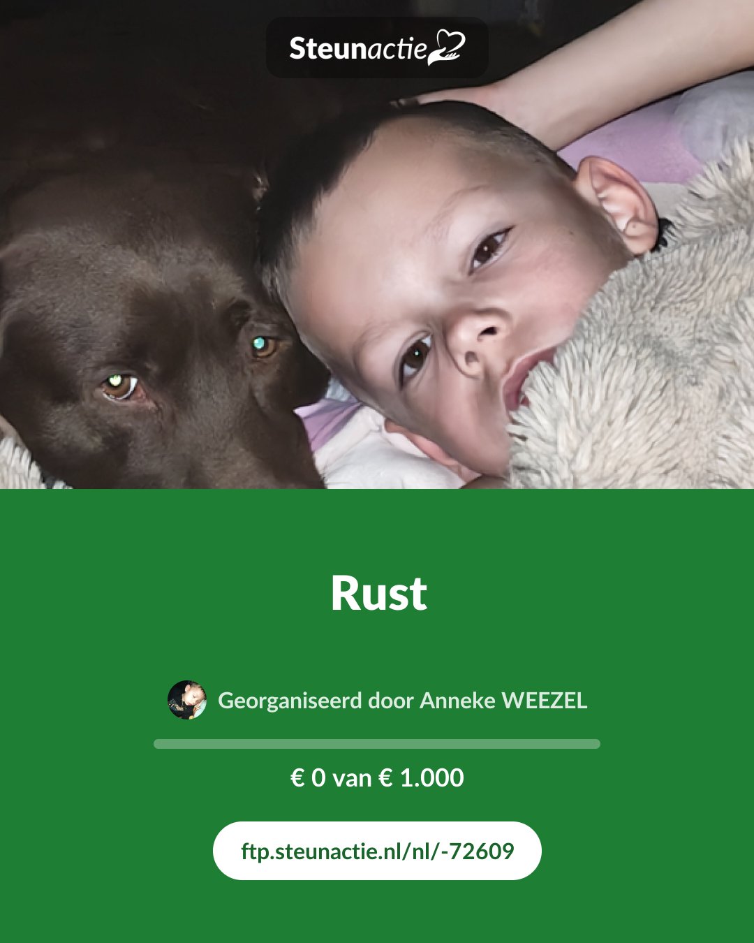 Voorbeeld van de afbeelding