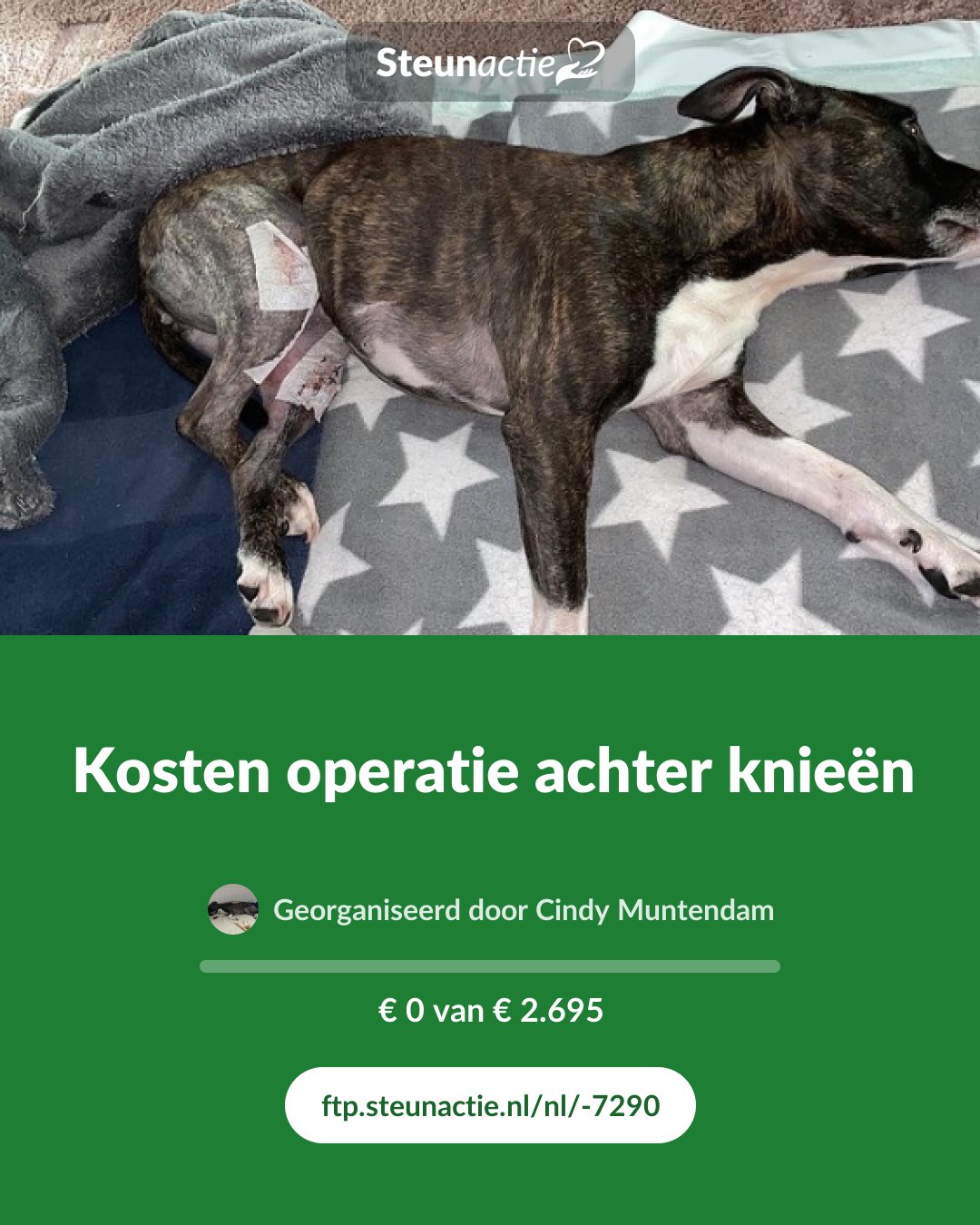 Voorbeeld van de afbeelding