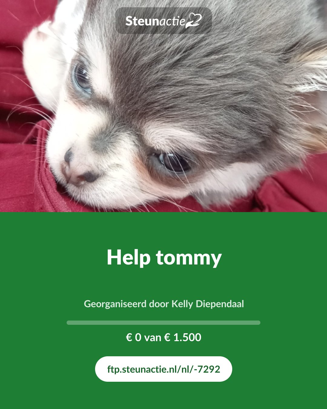 Voorbeeld van de afbeelding