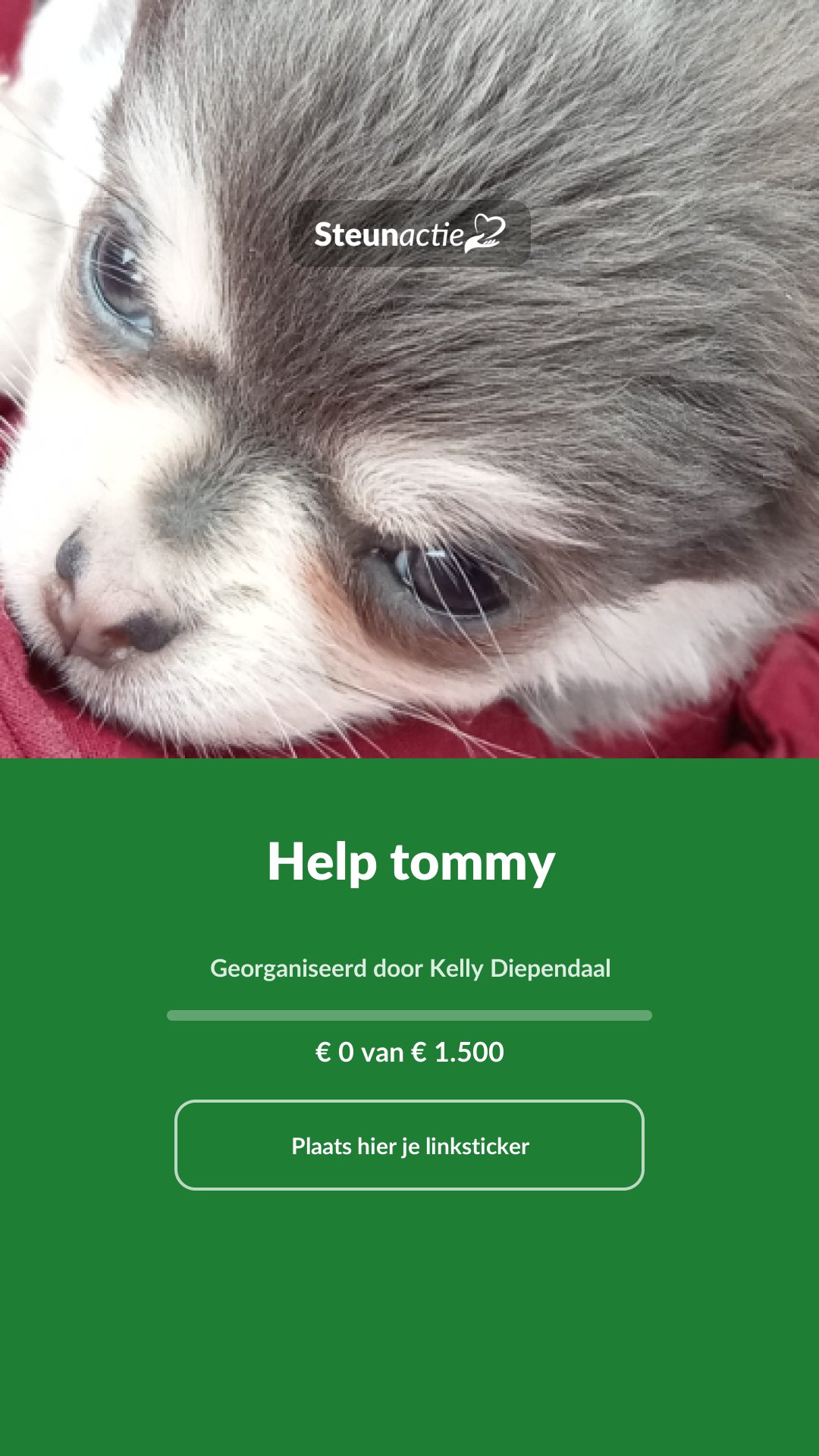 Voorbeeld van de afbeelding