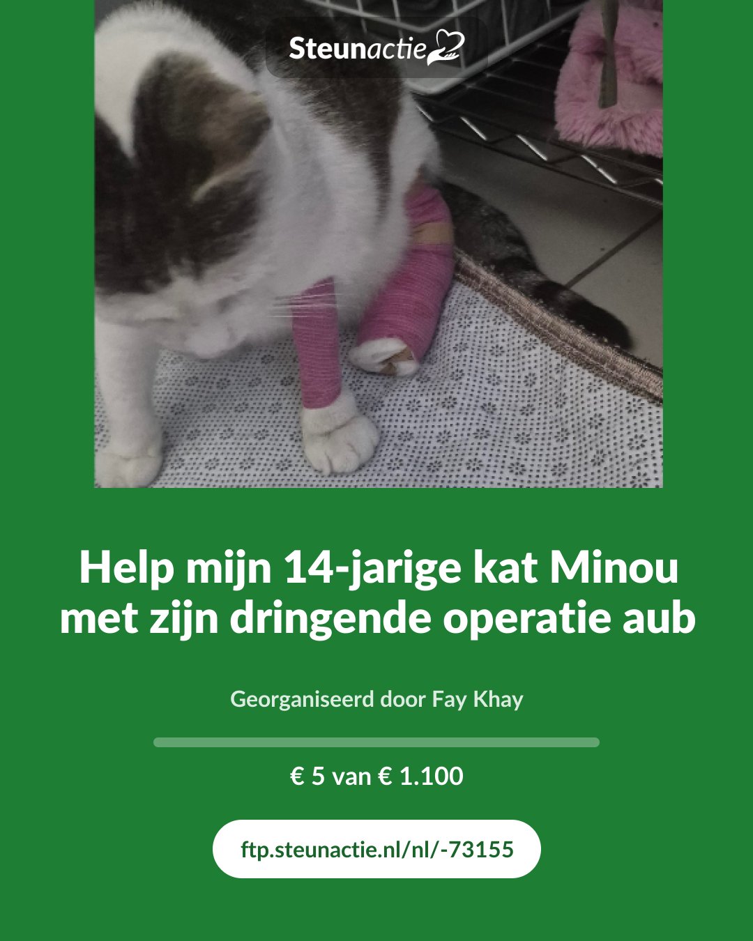 Voorbeeld van de afbeelding
