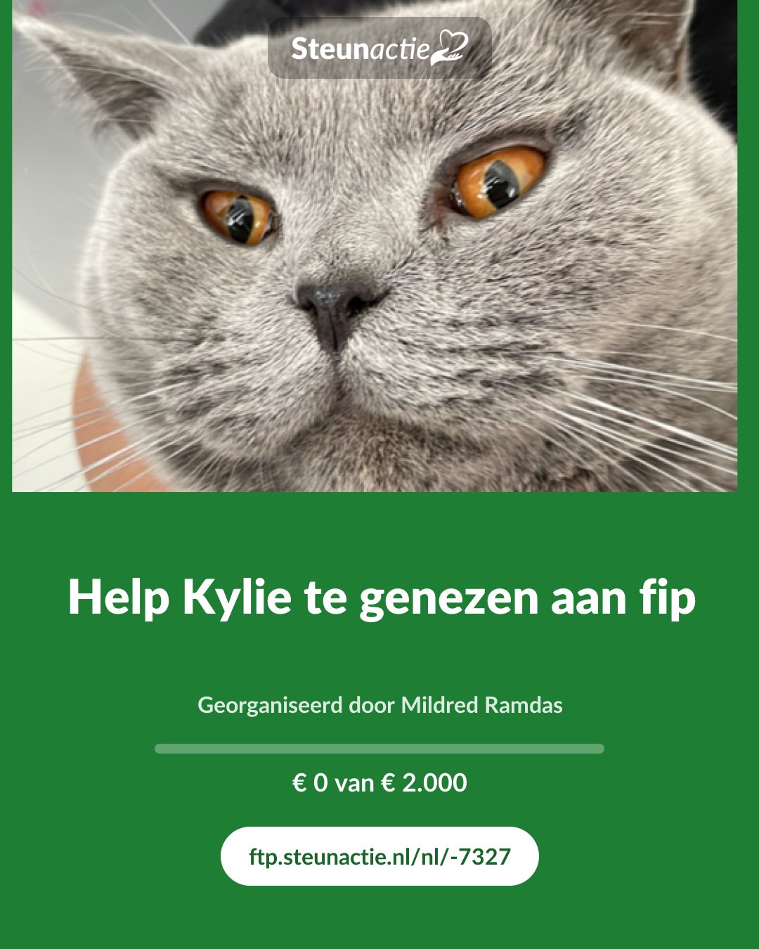 Voorbeeld van de afbeelding