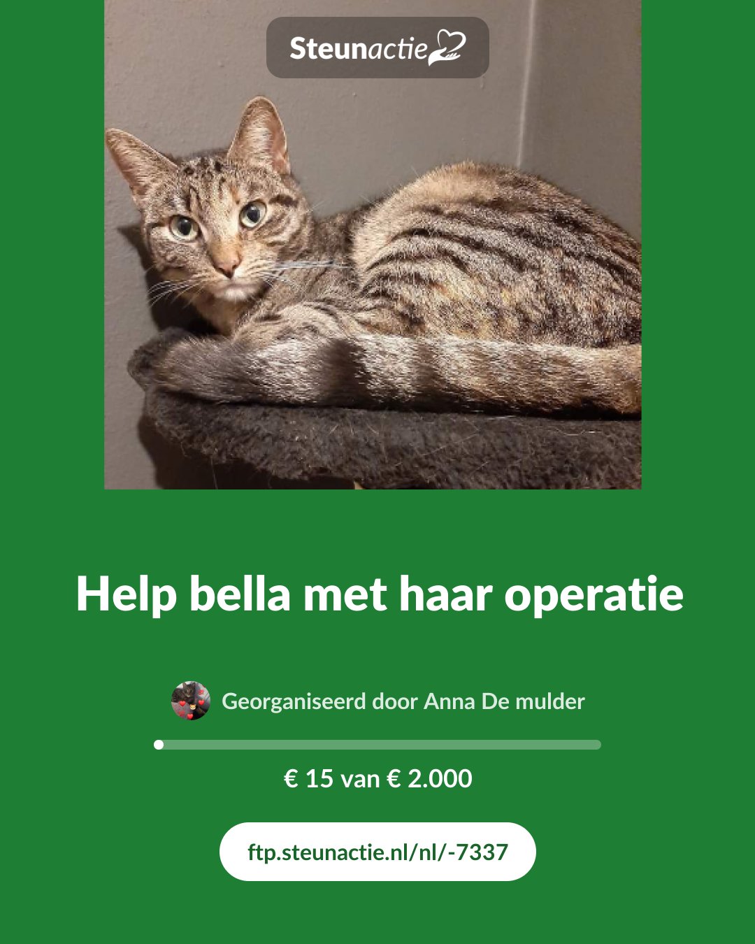 Voorbeeld van de afbeelding