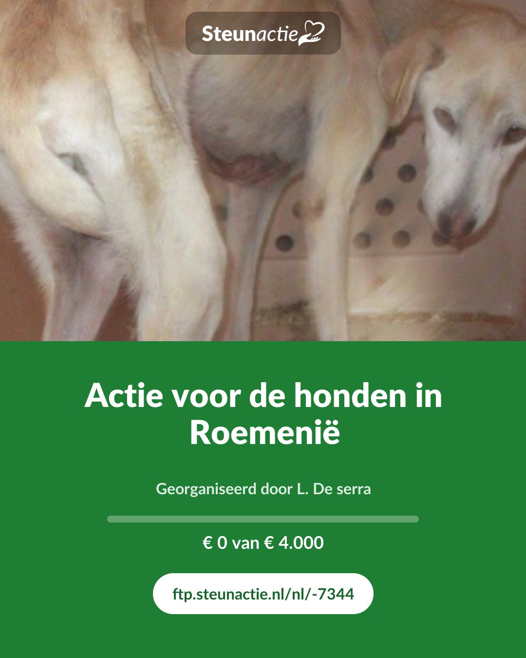 Voorbeeld van de afbeelding