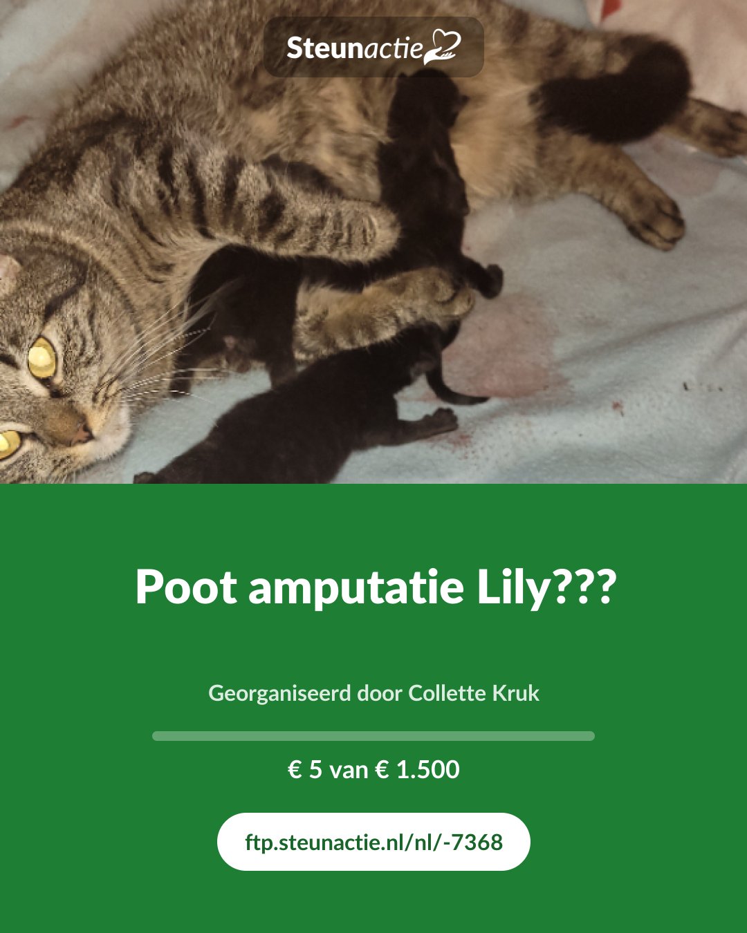 Voorbeeld van de afbeelding