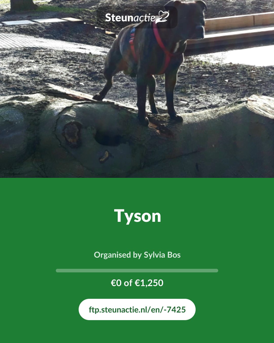Preview of the image