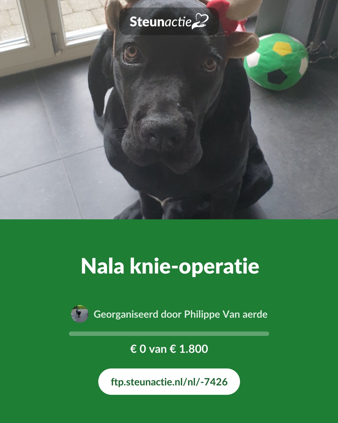 Voorbeeld van de afbeelding