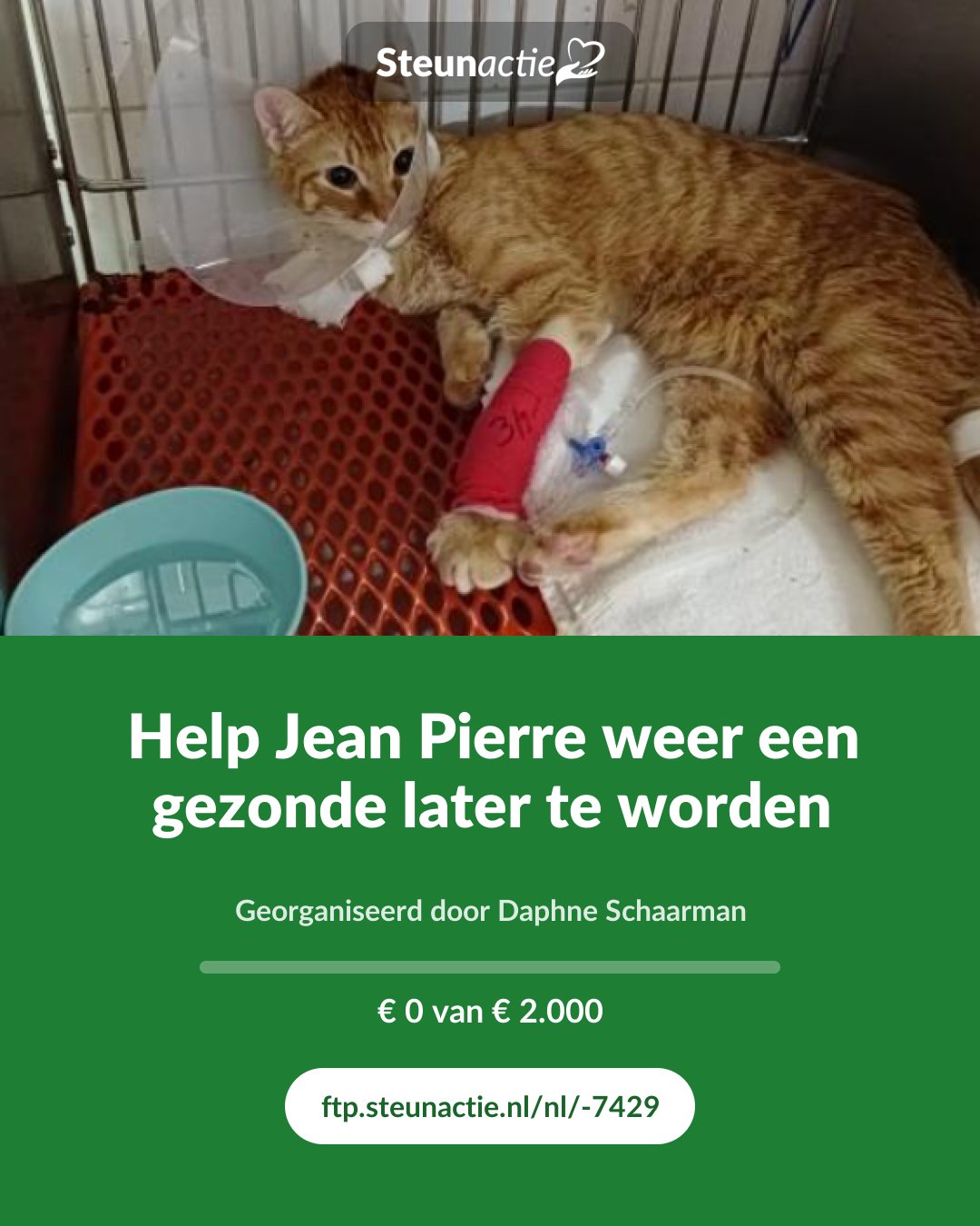 Voorbeeld van de afbeelding