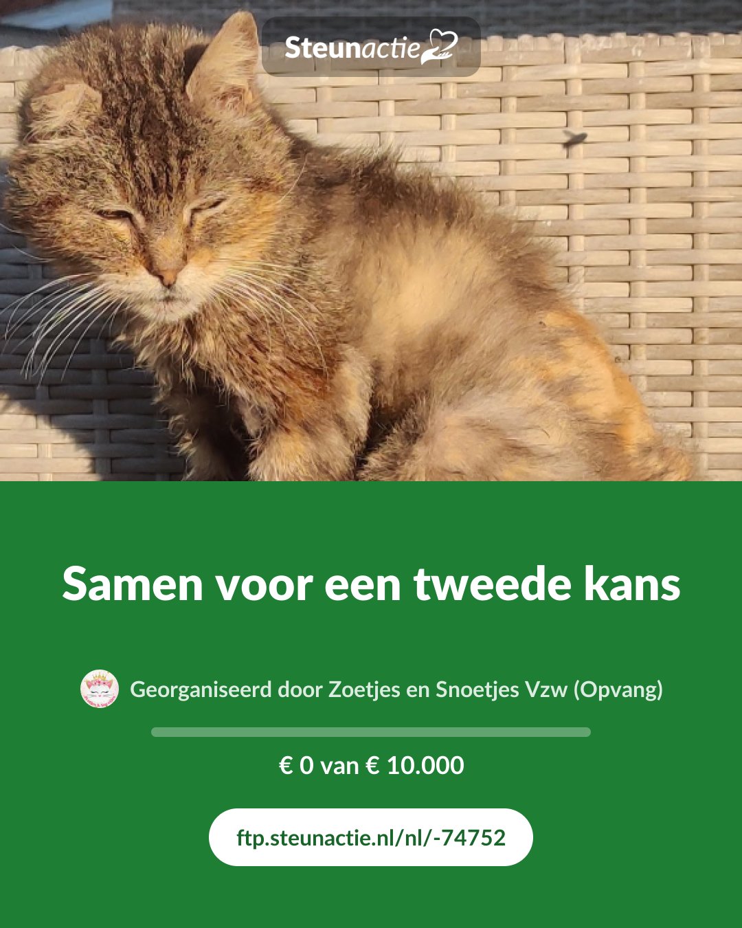 Voorbeeld van de afbeelding