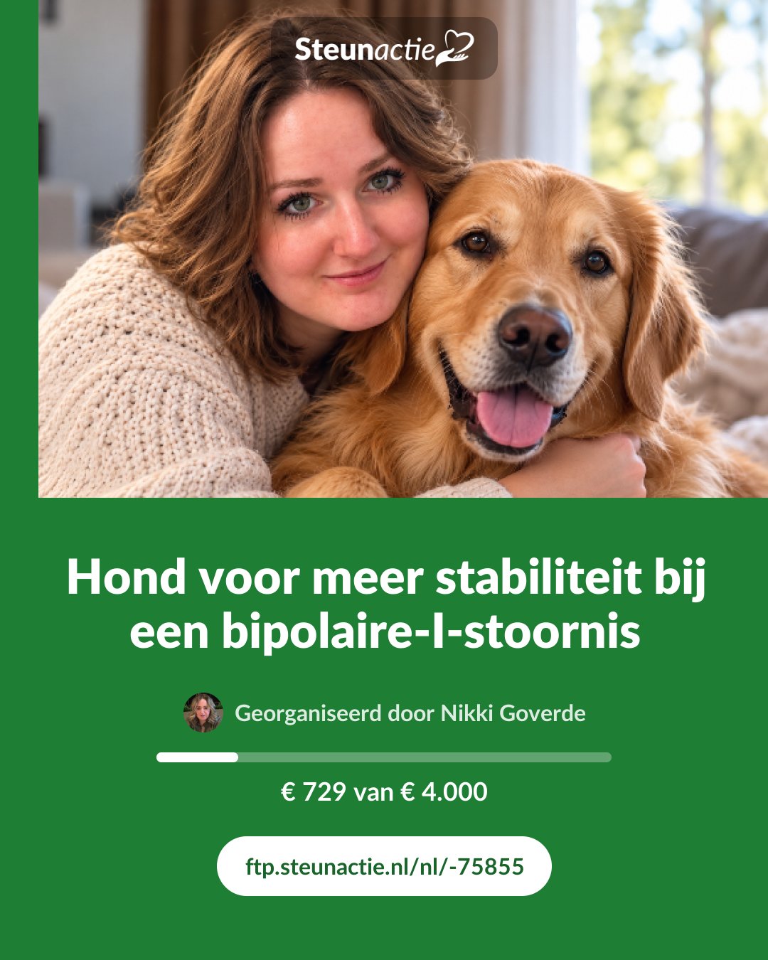 Voorbeeld van de afbeelding