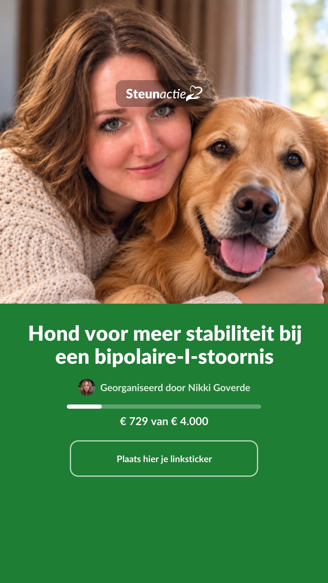 Voorbeeld van de afbeelding