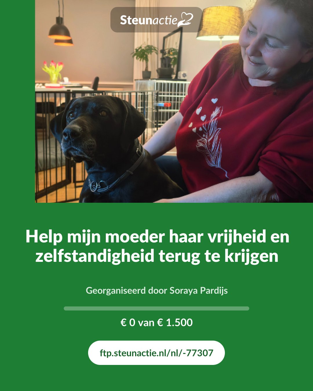 Voorbeeld van de afbeelding