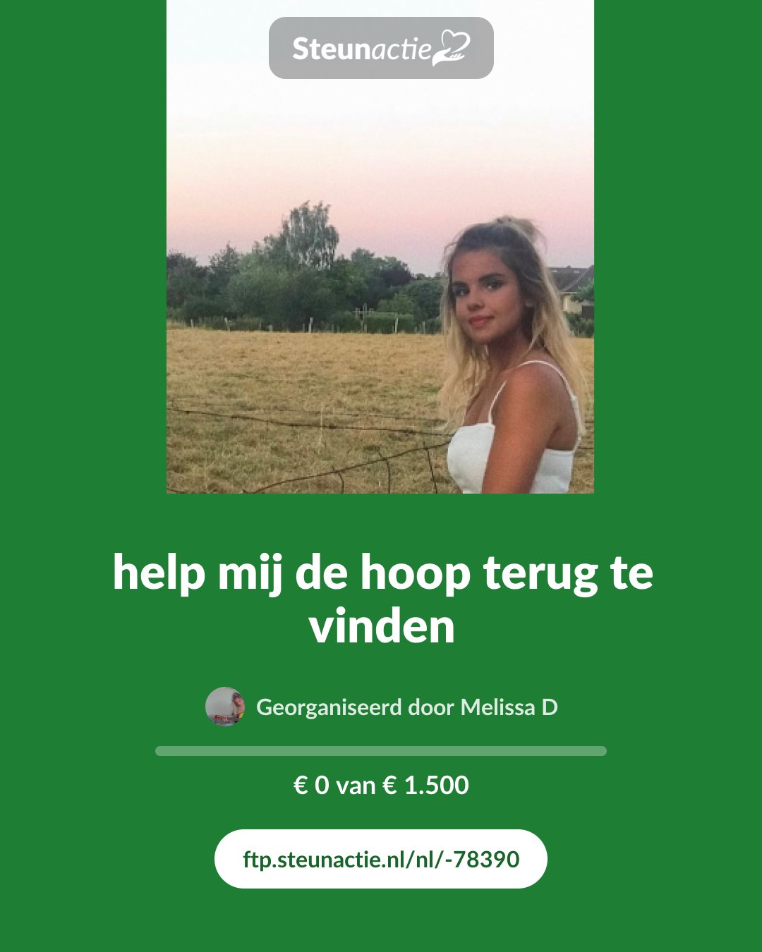 Voorbeeld van de afbeelding