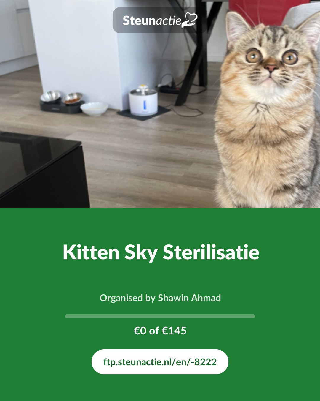 Preview of the image