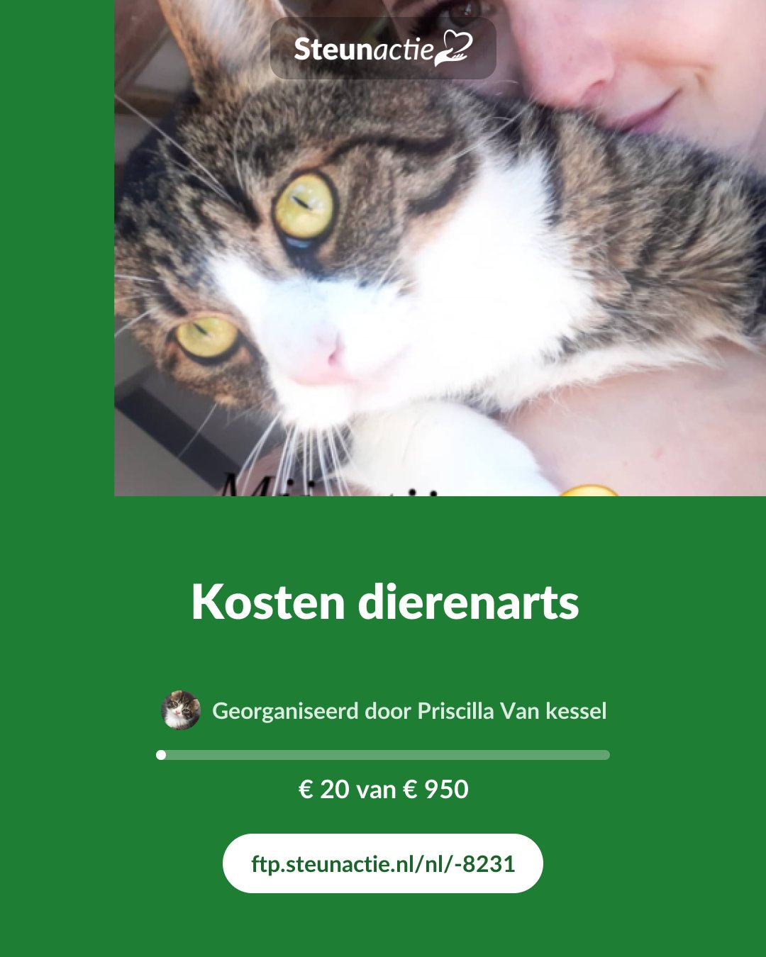 Voorbeeld van de afbeelding