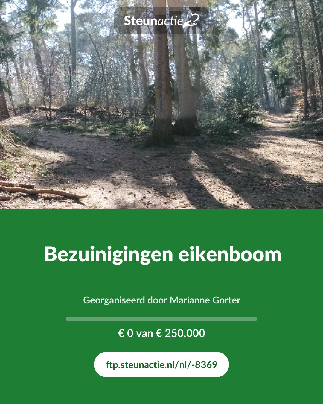 Voorbeeld van de afbeelding