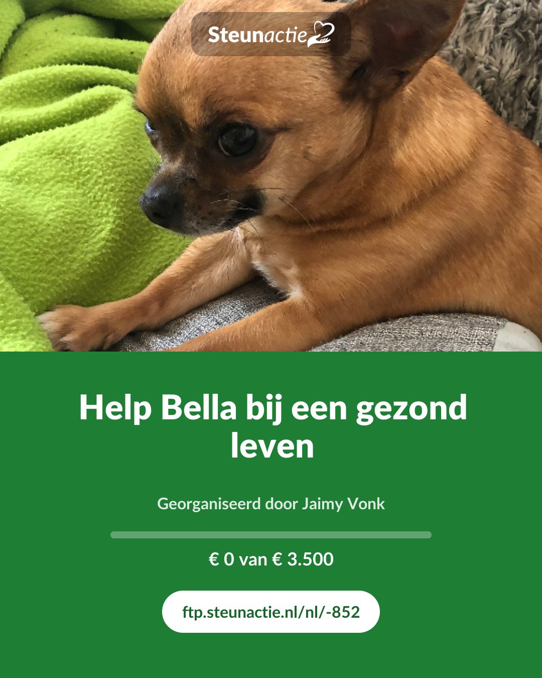 Voorbeeld van de afbeelding