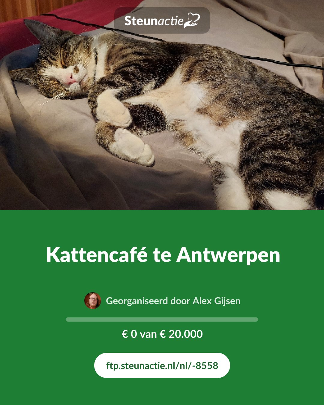 Voorbeeld van de afbeelding
