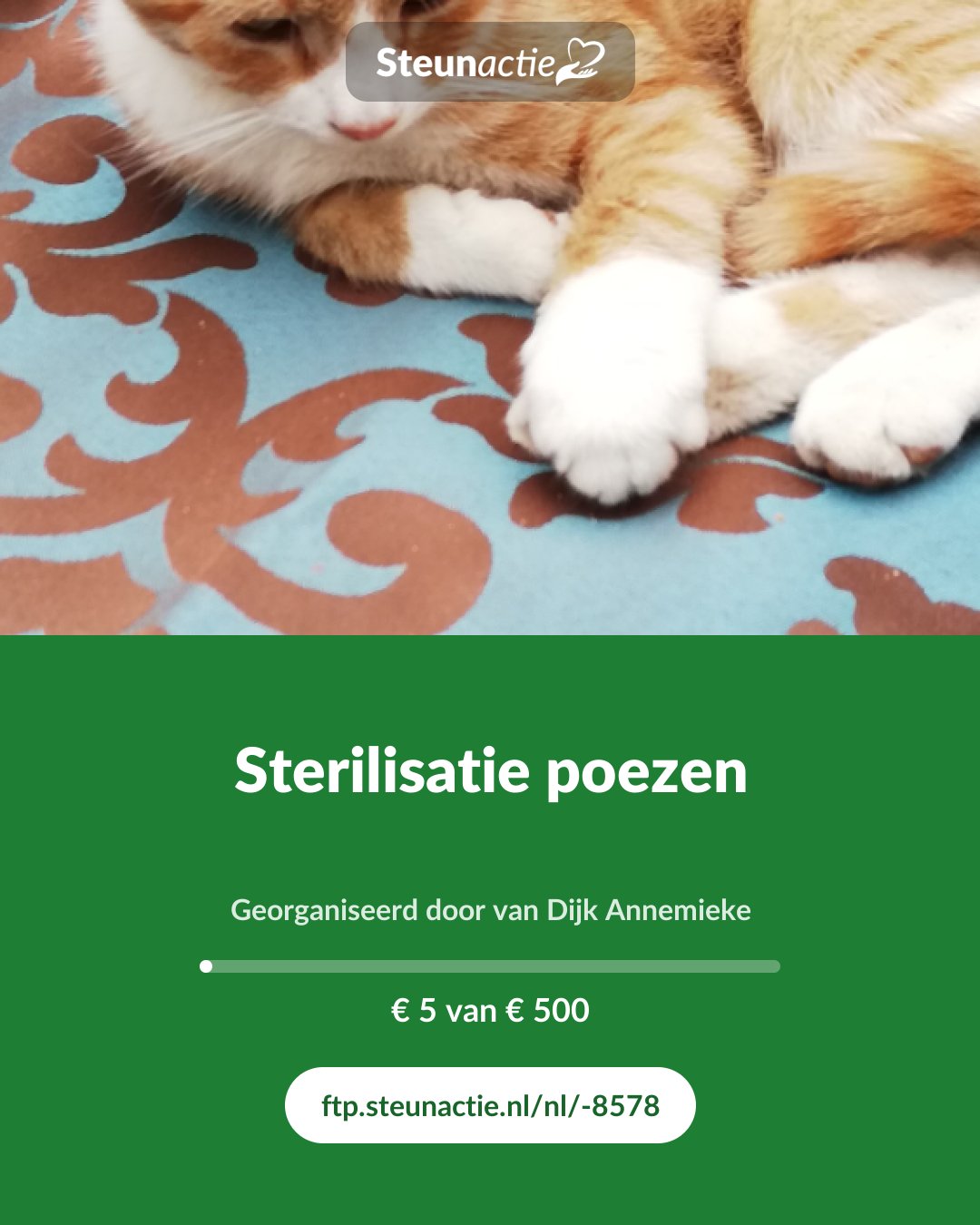 Voorbeeld van de afbeelding