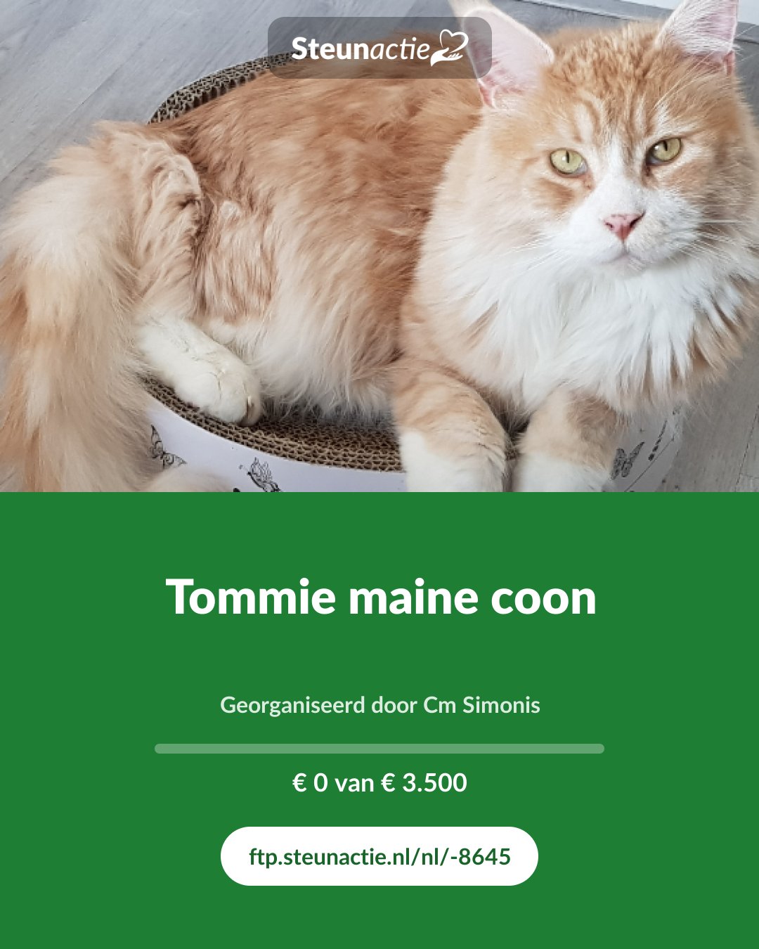 Voorbeeld van de afbeelding