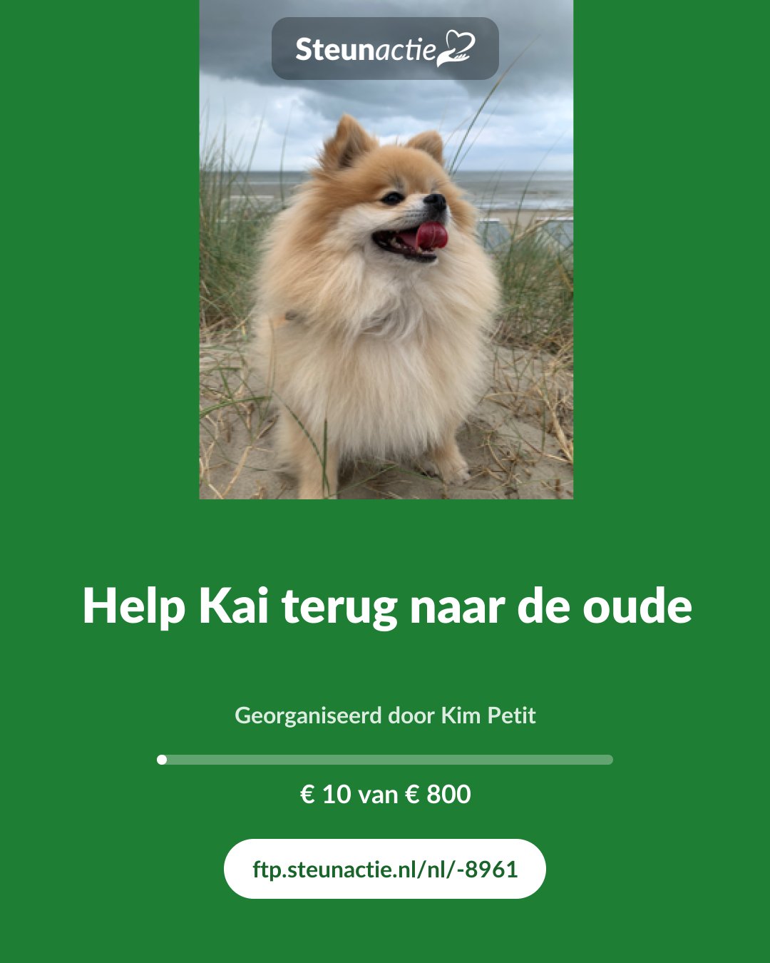Voorbeeld van de afbeelding