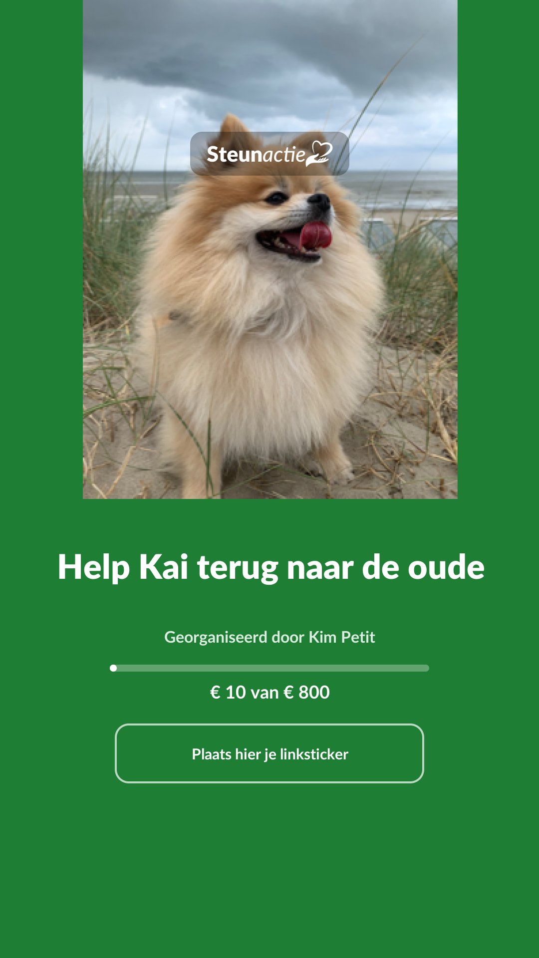 Voorbeeld van de afbeelding