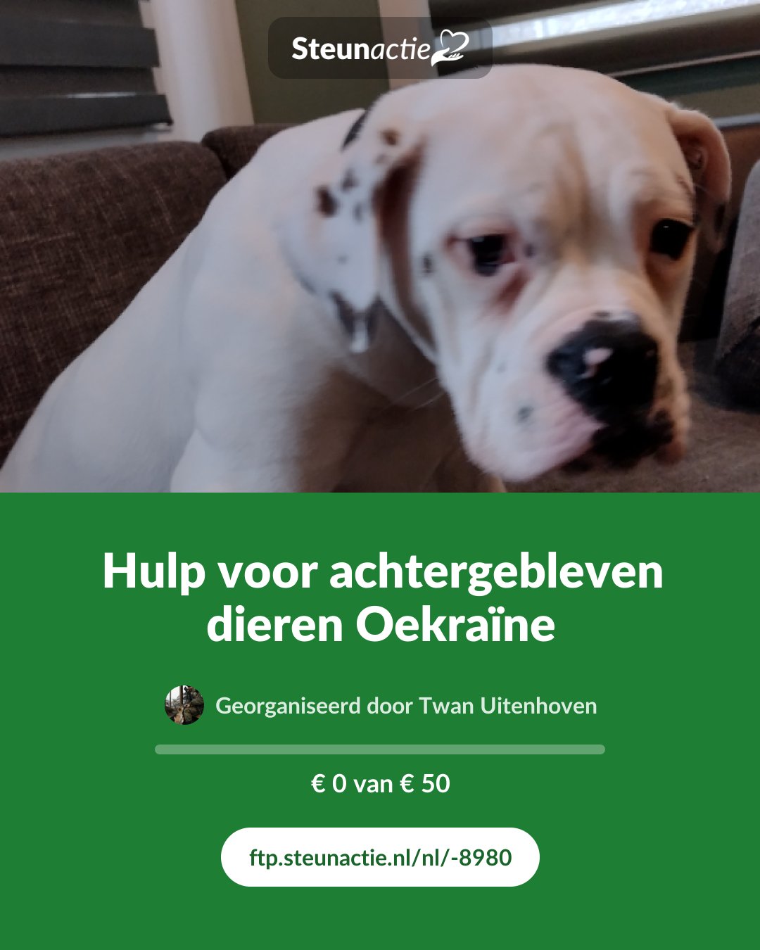 Voorbeeld van de afbeelding