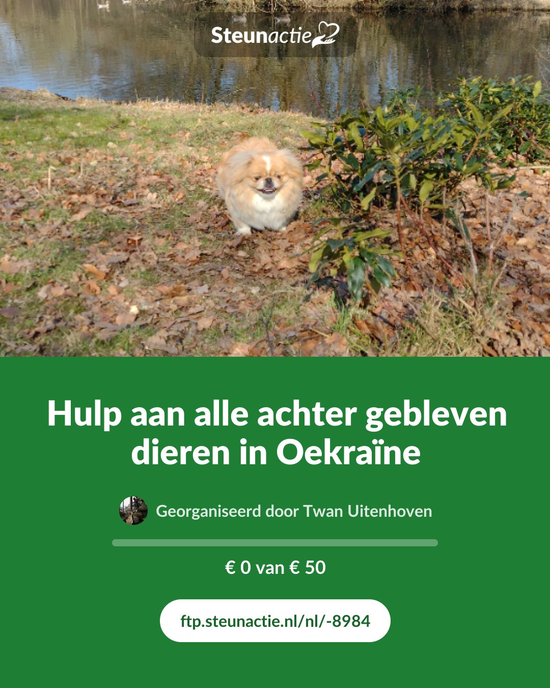 Voorbeeld van de afbeelding