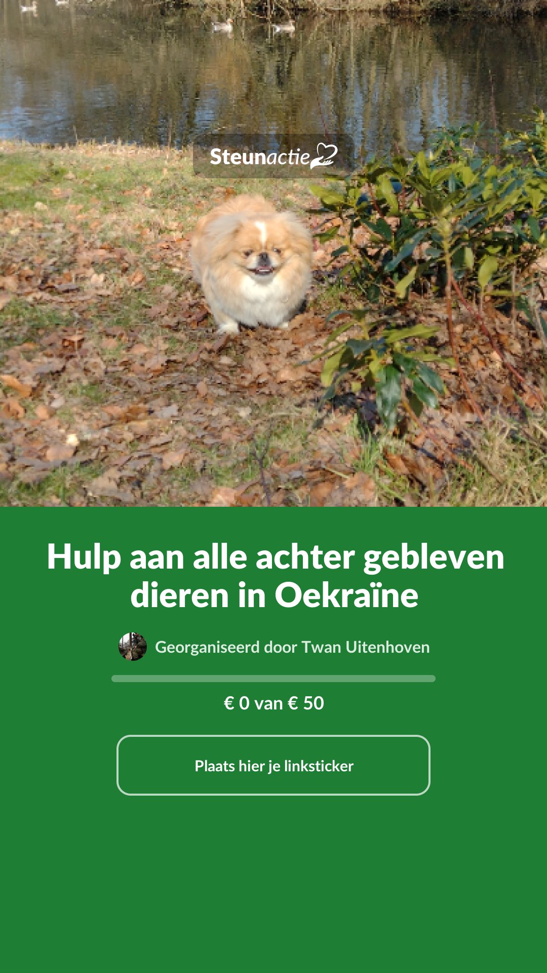 Voorbeeld van de afbeelding