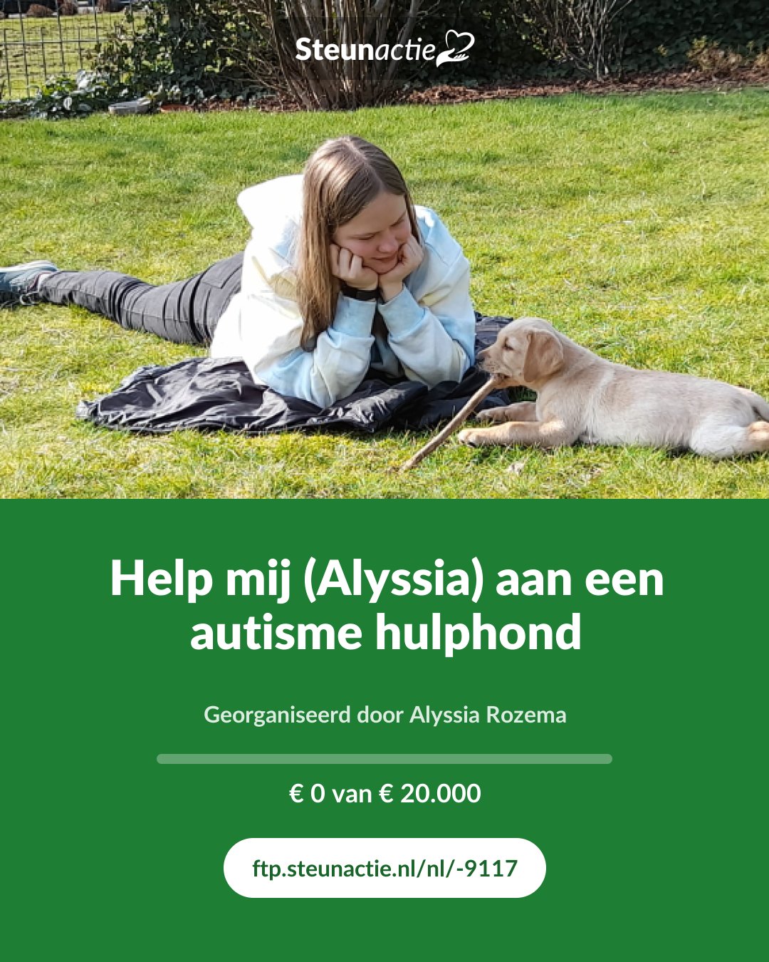 Voorbeeld van de afbeelding