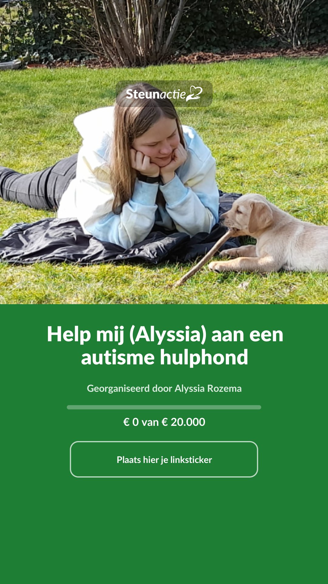 Voorbeeld van de afbeelding
