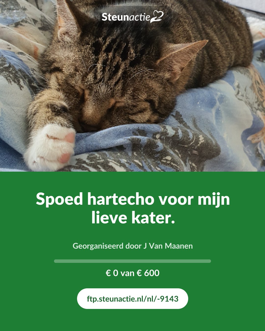 Voorbeeld van de afbeelding